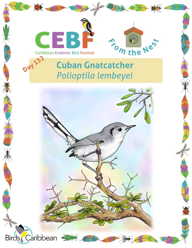 From the Nest – Day 132