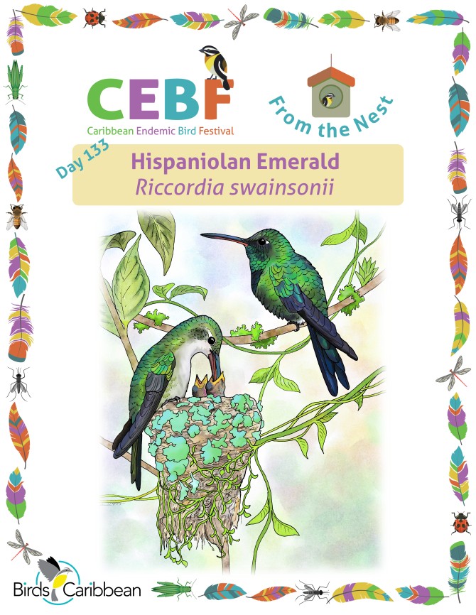 From the Nest – Day 133