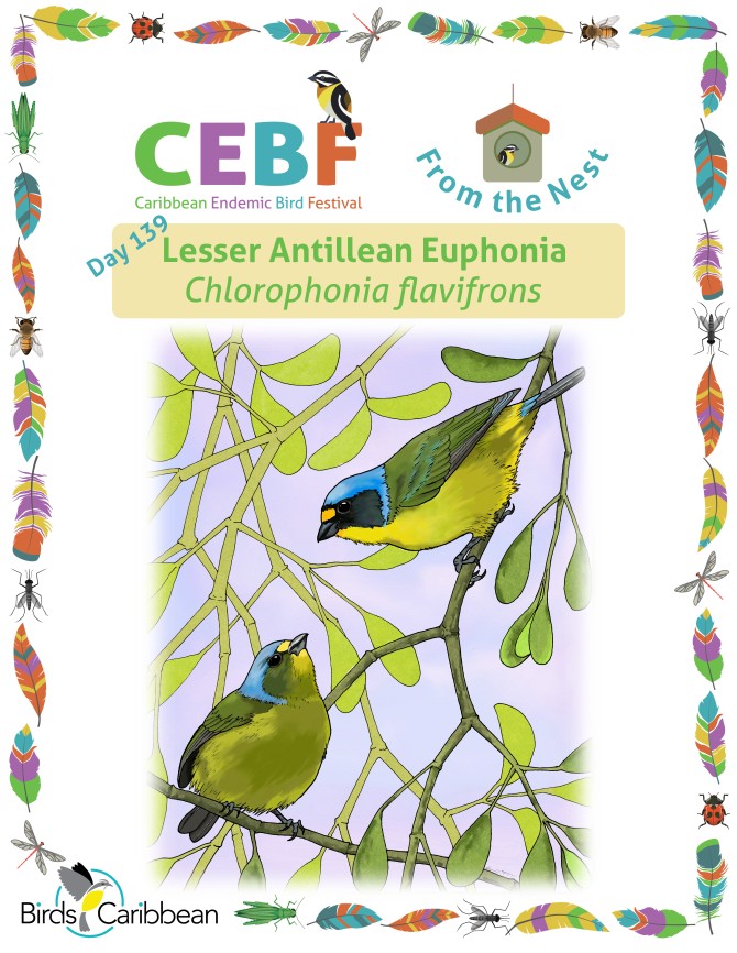 From the Nest – Day 139