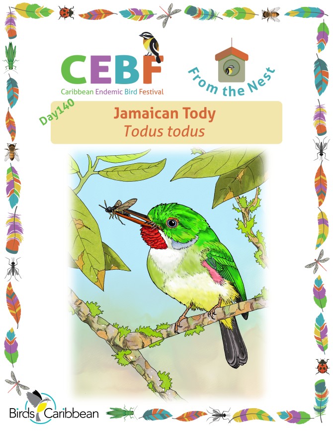 From the Nest – Day 140