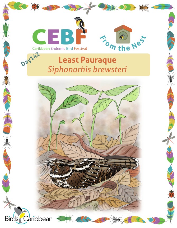 From the Nest – Day 142