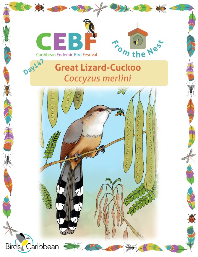 From the Nest – Day 147