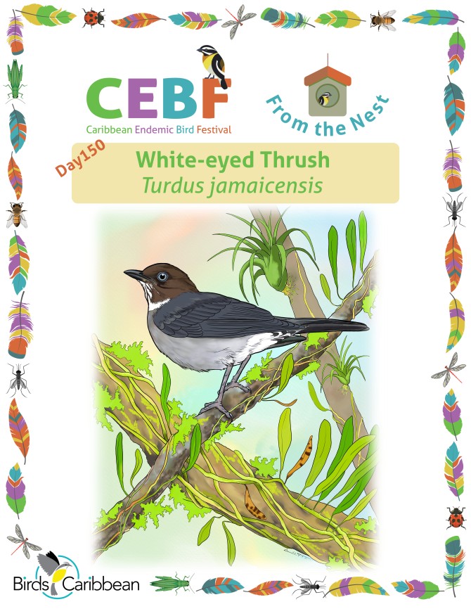 From the Nest – Day 150