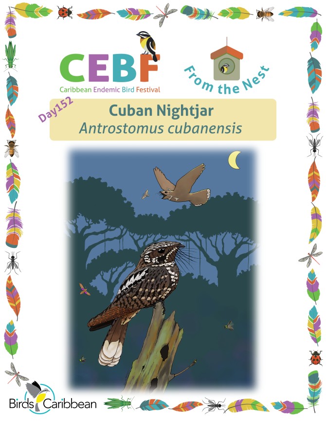 From the Nest – Day 152