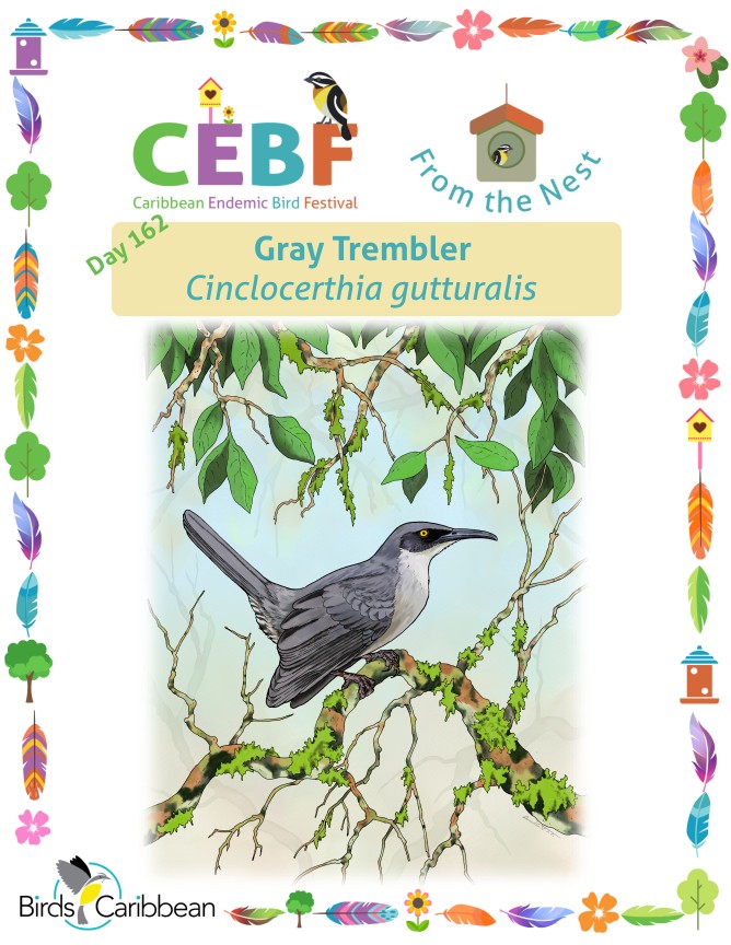 From the Nest – Day 162