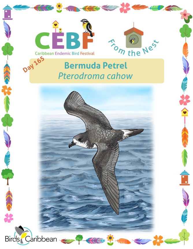 From the Nest – Day 165