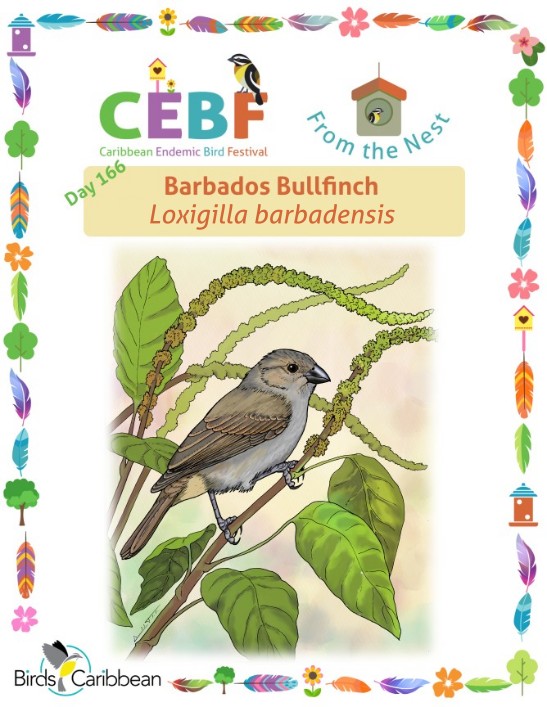 From the Nest – Day 166