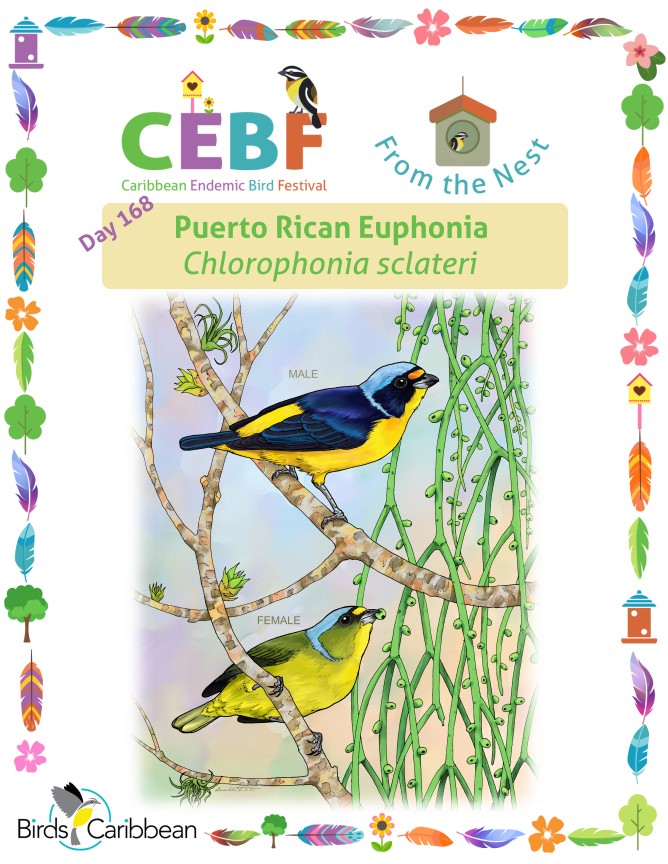 From the Nest – Day 168