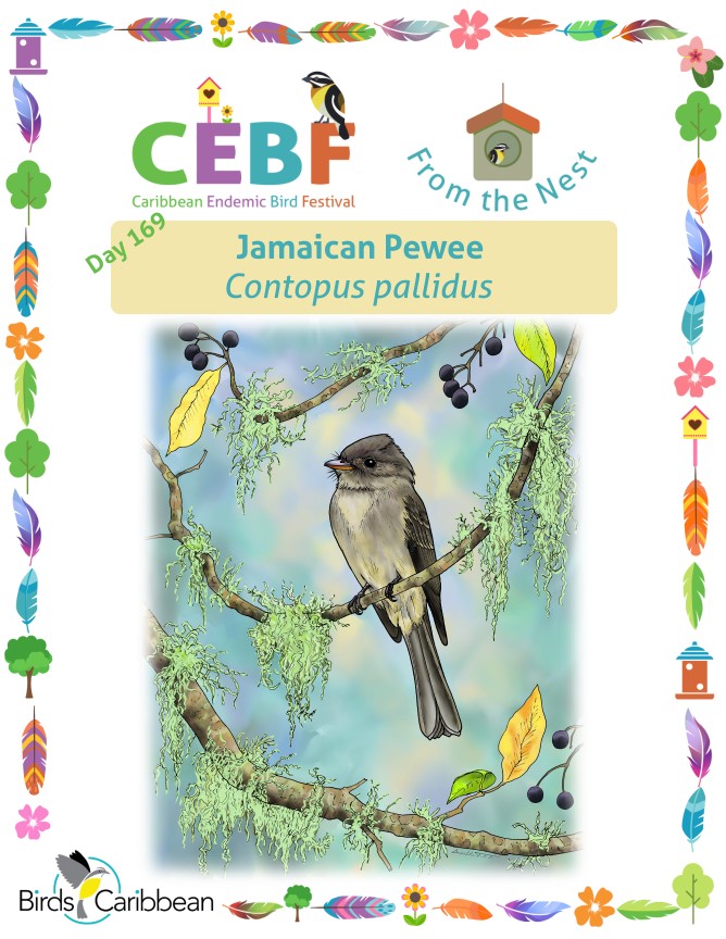 From the Nest – Day 169