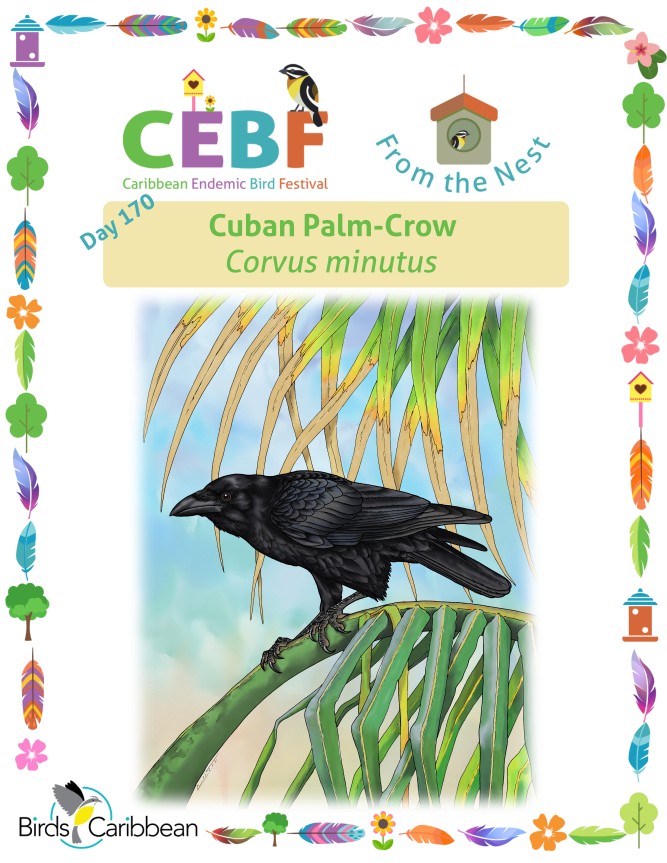 From the Nest – Day 170