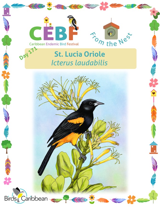 From the Nest – Day 171