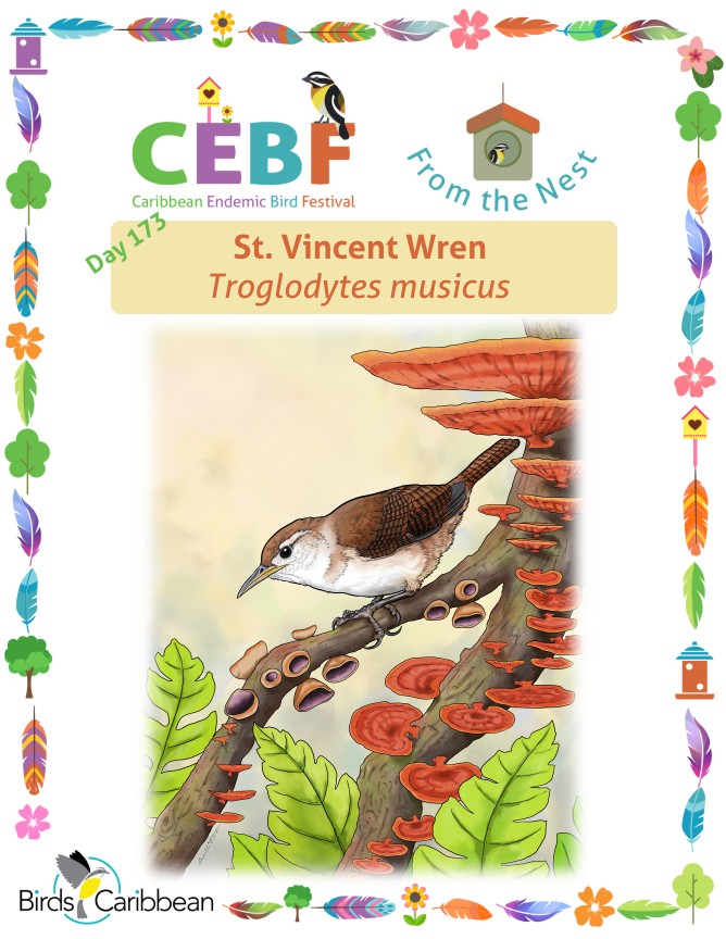 From the Nest – Day 173