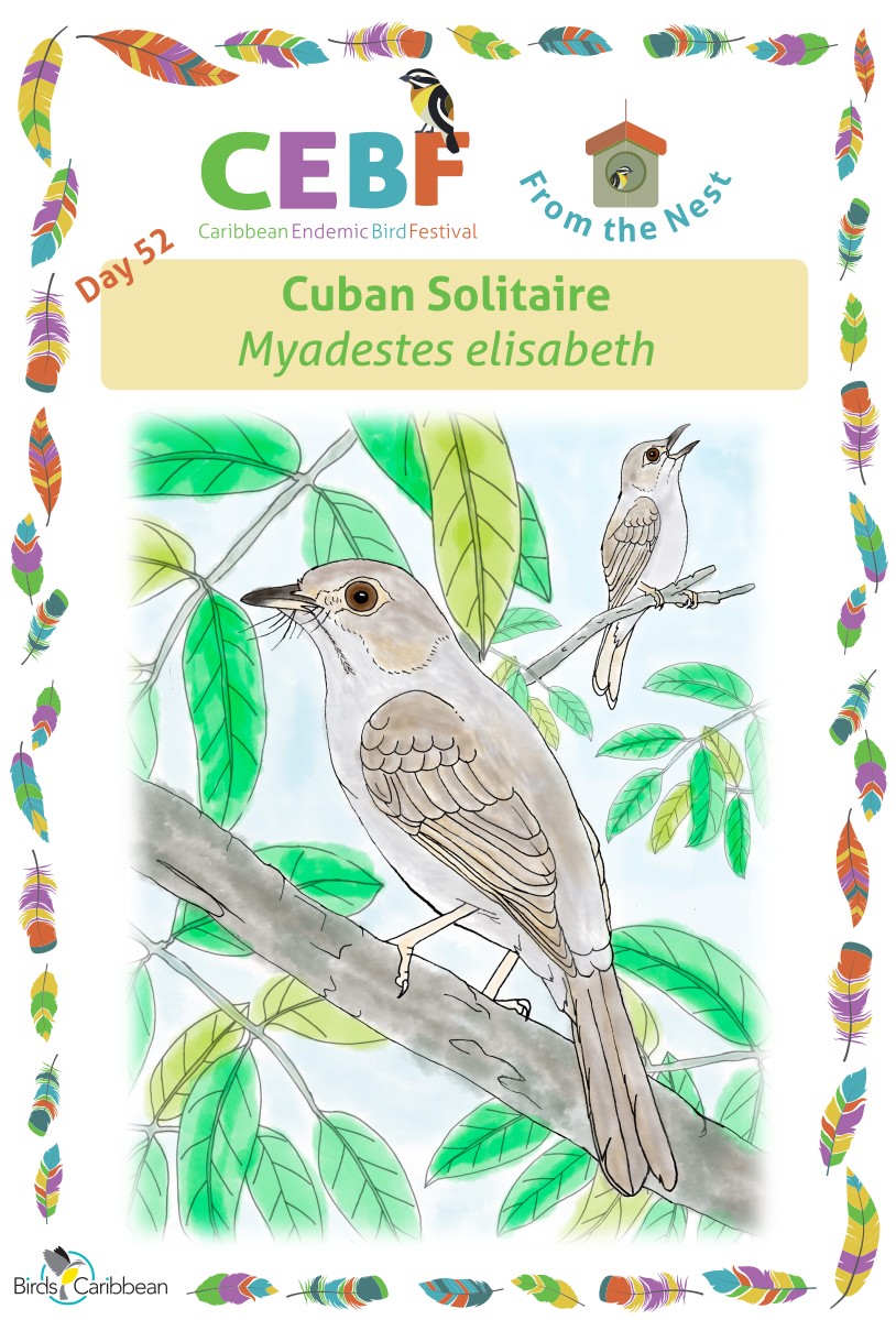 From the Nest – Day 52