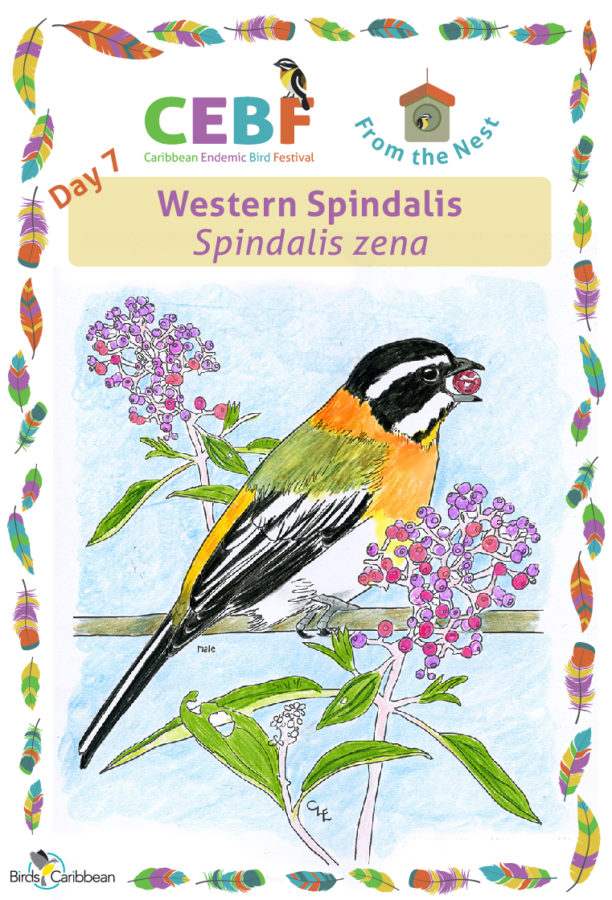 From the Nest – Day 7